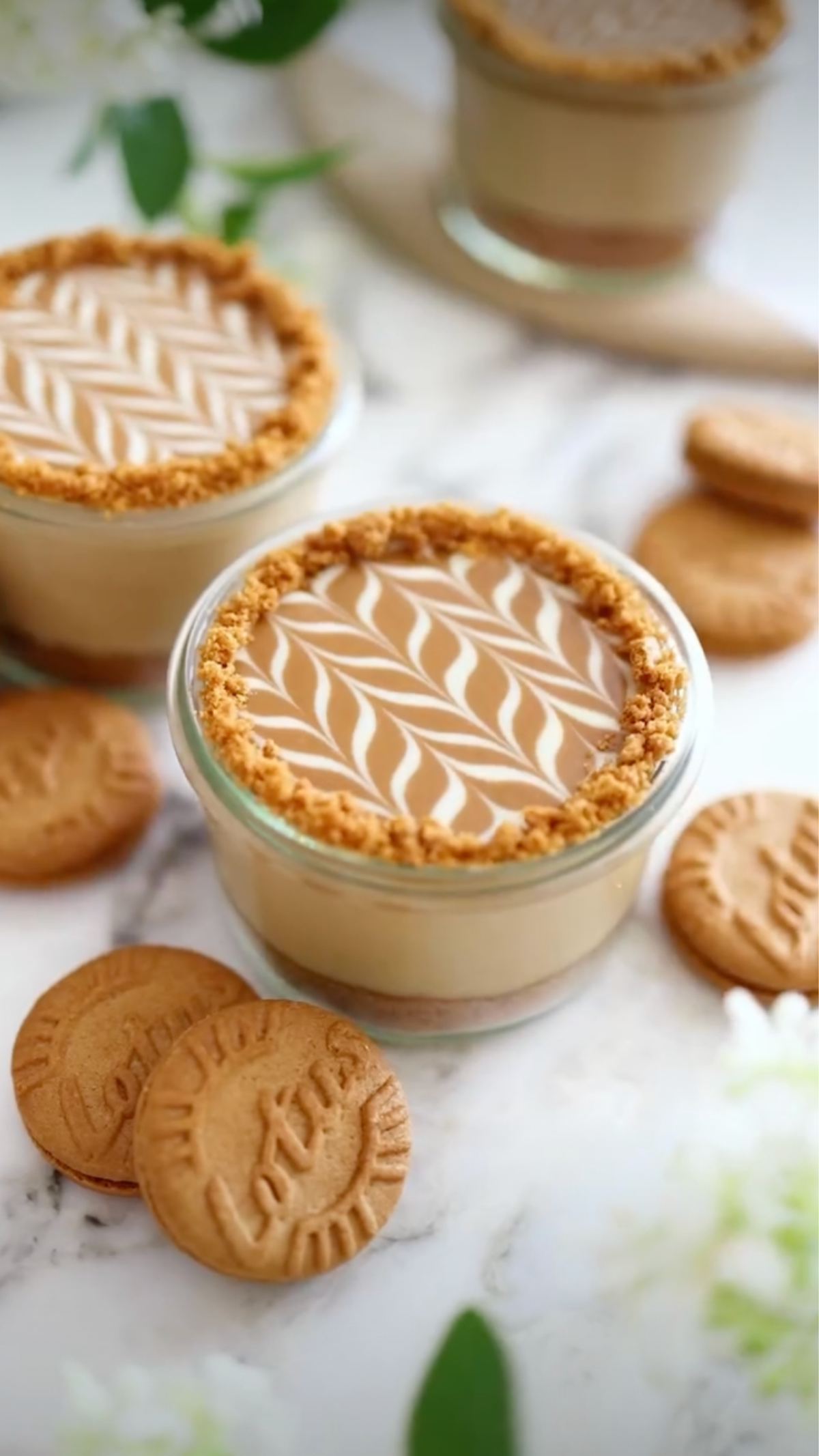 3-Ingredient Vegan Biscoff Mousse